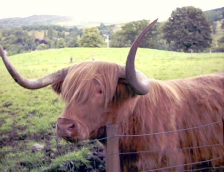 IMAGE0360