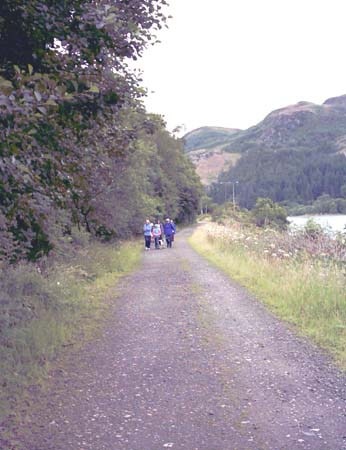 IMAGE0365