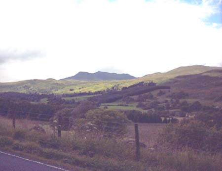 IMAGE0374