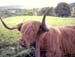 IMAGE0360