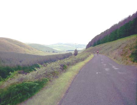 IMAGE0318