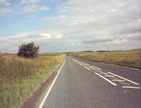 IMAGE0330