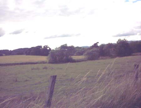 IMAGE0347