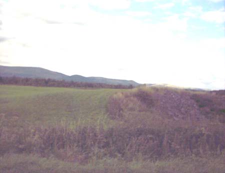 IMAGE0351