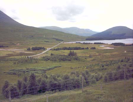 IMAGE0379