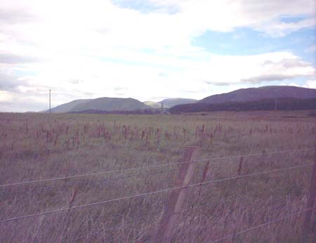 IMAGE0409