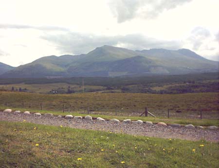 IMAGE0412