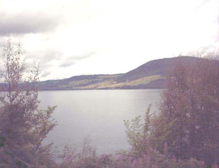 IMAGE0448