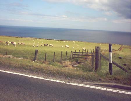 IMAGE0506