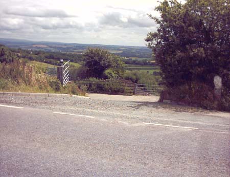 IMAGE0018