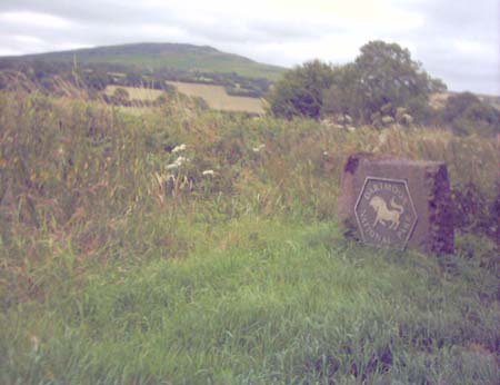 IMAGE0026