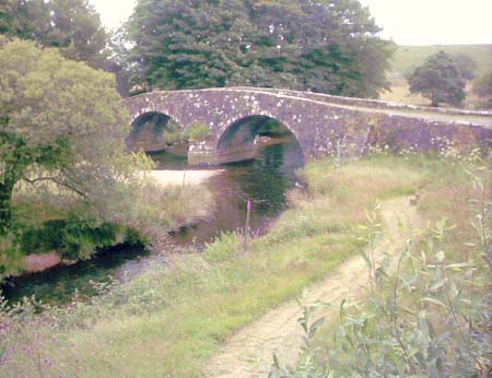 IMAGE0037