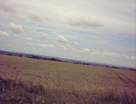 IMAGE0086
