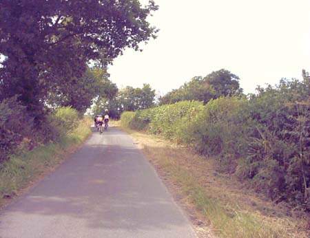 IMAGE0099