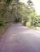 IMAGE0092