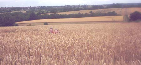 IMAGE0131