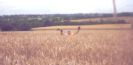 IMAGE0133