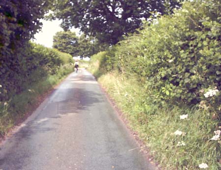 IMAGE0182
