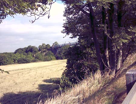 IMAGE0190
