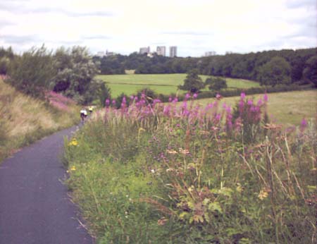 IMAGE0210