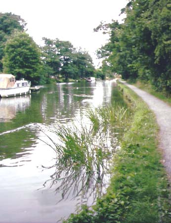 IMAGE0213