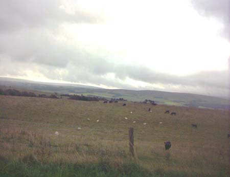 IMAGE0227