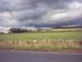 IMAGE0269